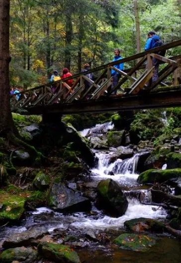 Alsace and the Black Forest