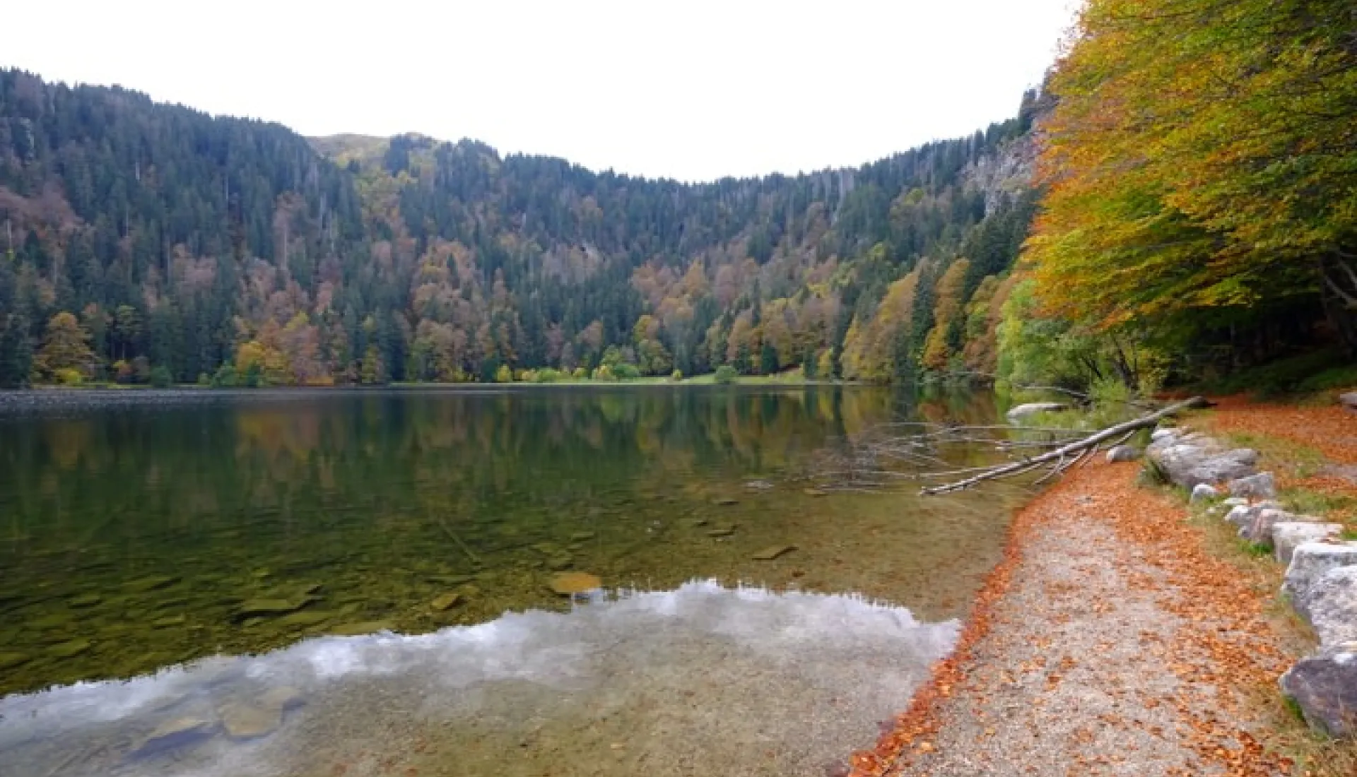 Alsace Ve Karaorman