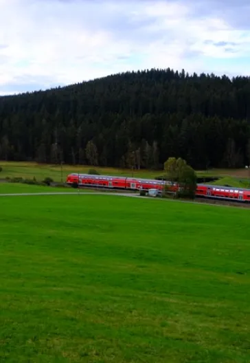 Alsace and the Black Forest
