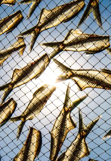 Kuzeyin Rüya Adaları 3: Norveç Lofoten Adaları Turu