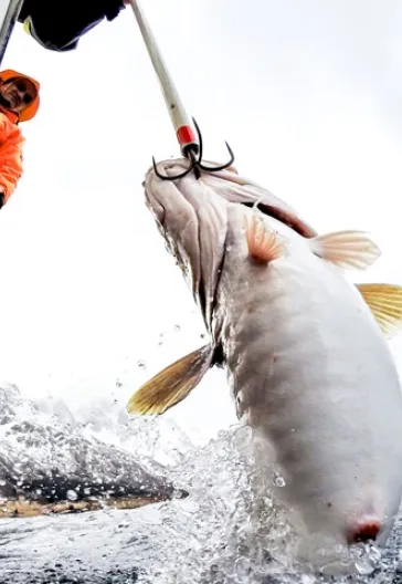 Kuzeyin Rüya Adaları 3: Norveç Lofoten Adaları Turu