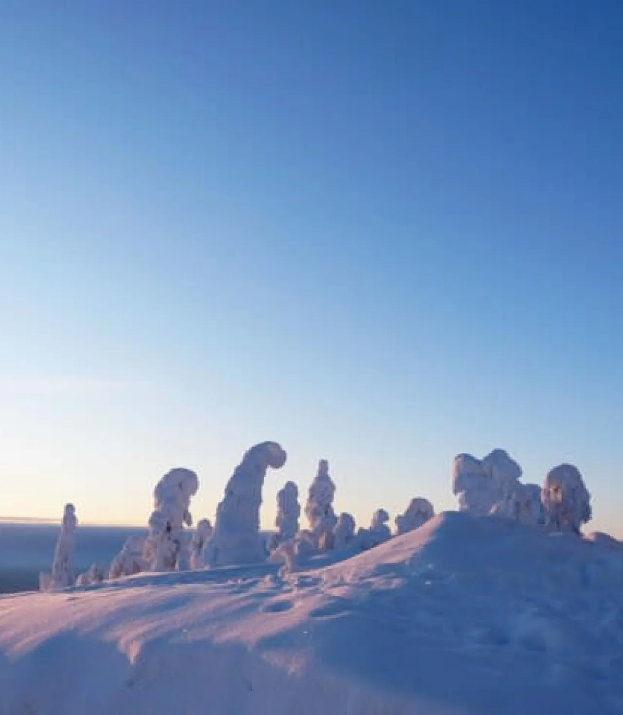 İsveç - Lapland Ve Kuzey Işıkları (Igloo Konaklamalı)