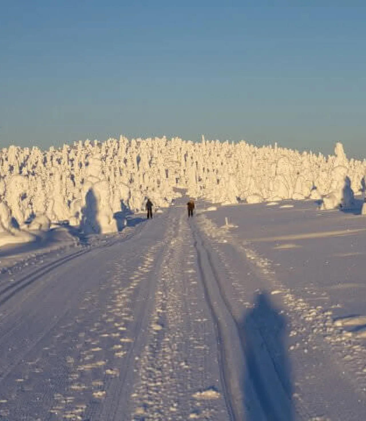 İsveç - Lapland Ve Kuzey Işıkları (Igloo Konaklamalı)