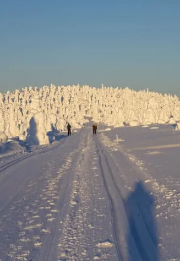 İsveç - Lapland Ve Kuzey Işıkları (Igloo Konaklamalı)