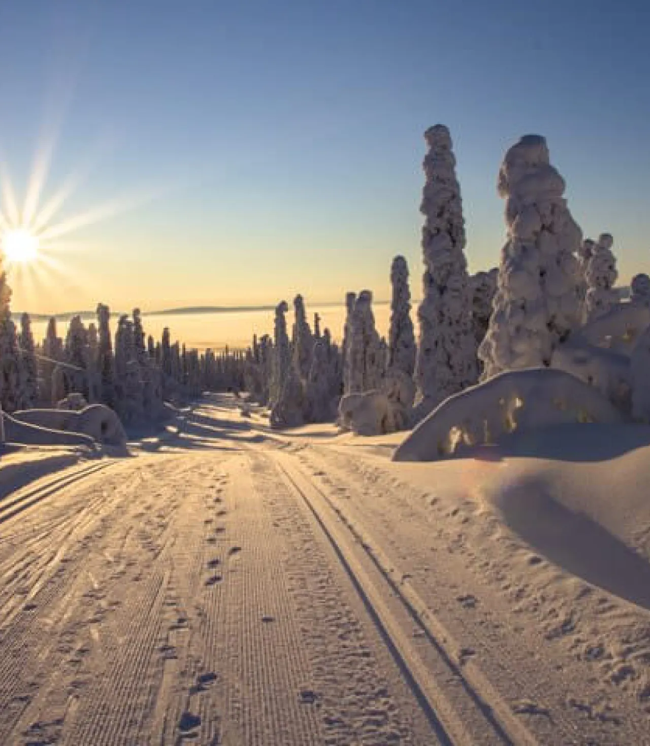 İsveç - Lapland Ve Kuzey Işıkları (Igloo Konaklamalı)