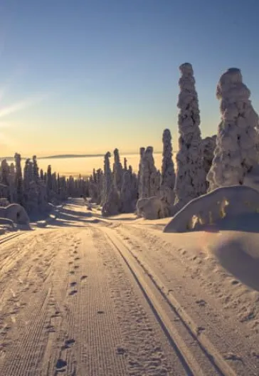 İsveç - Lapland Ve Kuzey Işıkları (Igloo Konaklamalı)