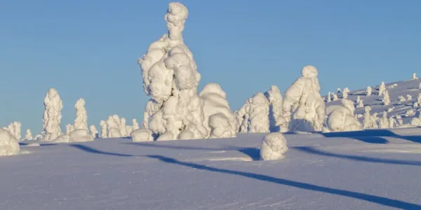 İsveç - Lapland Ve Kuzey Işıkları (Igloo Konaklamalı)