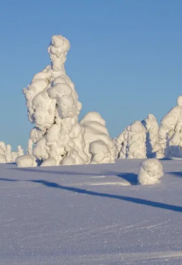 İsveç - Lapland Ve Kuzey Işıkları (Igloo Konaklamalı)