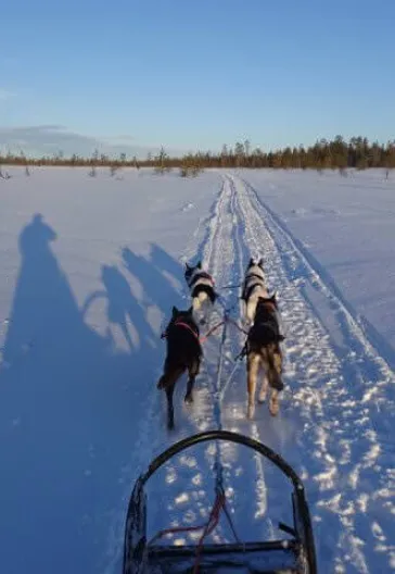 İsveç - Lapland Ve Kuzey Işıkları (Igloo Konaklamalı)