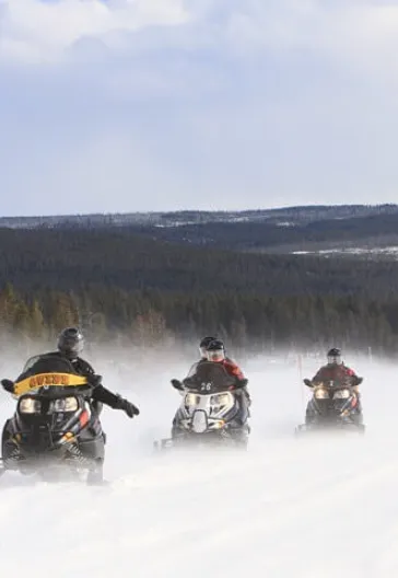 İsveç - Lapland Ve Kuzey Işıkları (Igloo Konaklamalı)