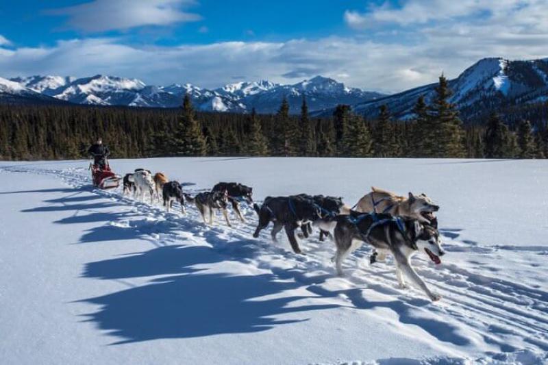 İsveç - Lapland Ve Kuzey Işıkları (Igloo Konaklamalı)