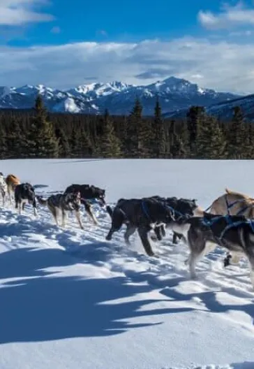 İsveç - Lapland Ve Kuzey Işıkları (Igloo Konaklamalı)