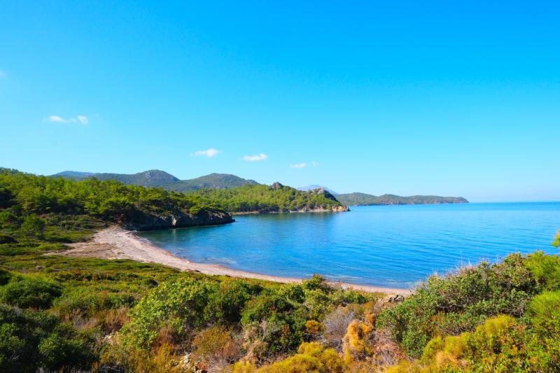 Çakal, Balıkaşıran