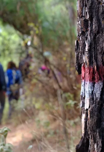 東リキア・トレッキングツアー － 5日間