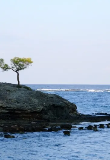 東リキア・トレッキングツアー － 5日間
