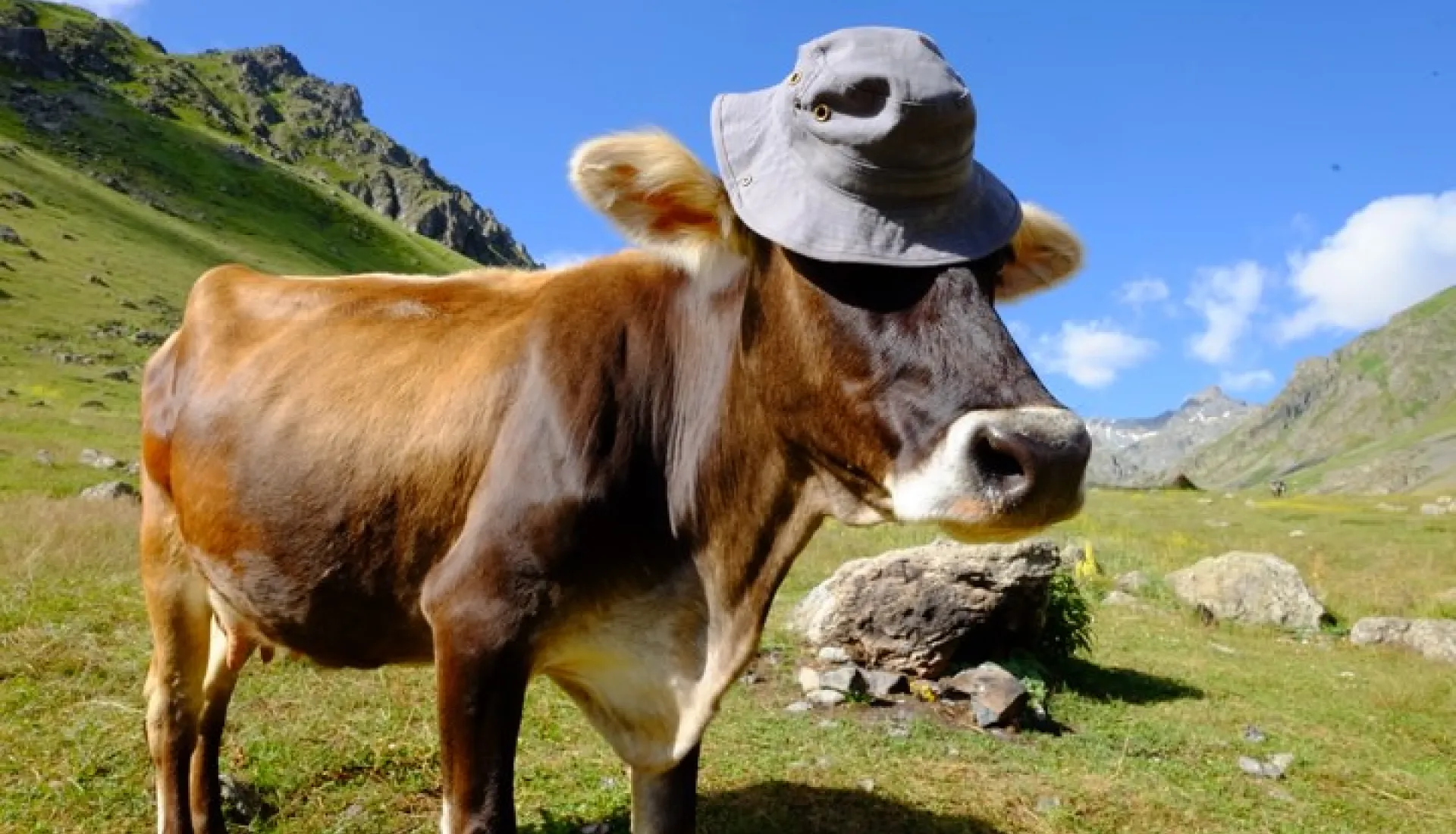 Trans Yayla Turu