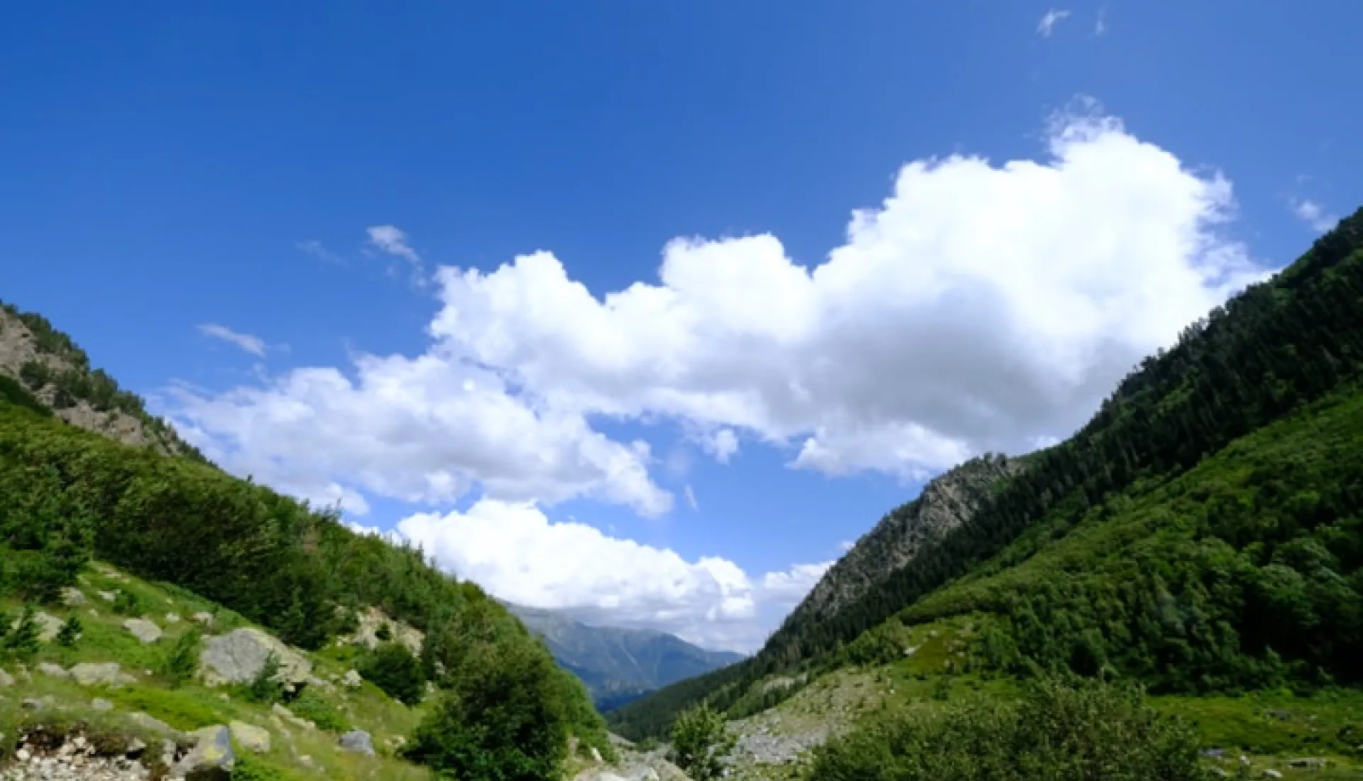 Trans Yayla Turu