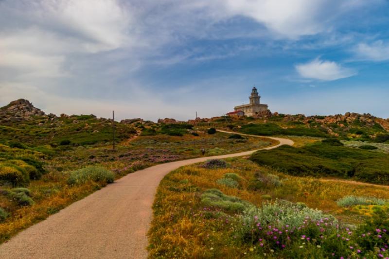 Calvı, Bastıa
