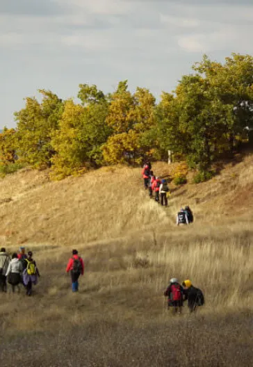 ヒッタイトの足跡をたどるハットゥシャ、アラジャホユック、クズルウィルマクツアー