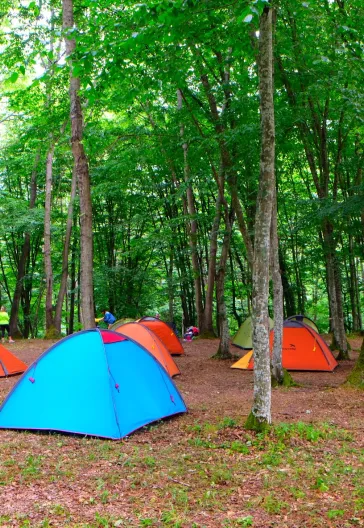 İğneada Çadır Kampı