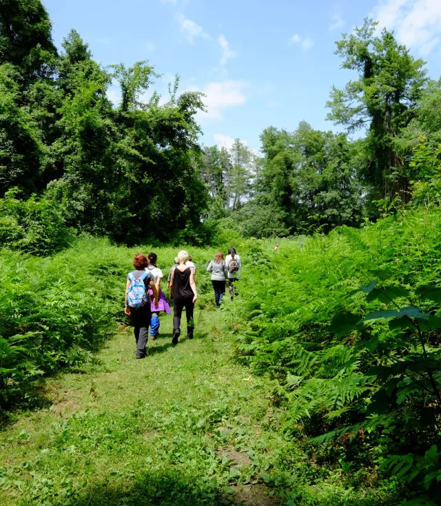 İğneada Çadır Kampı