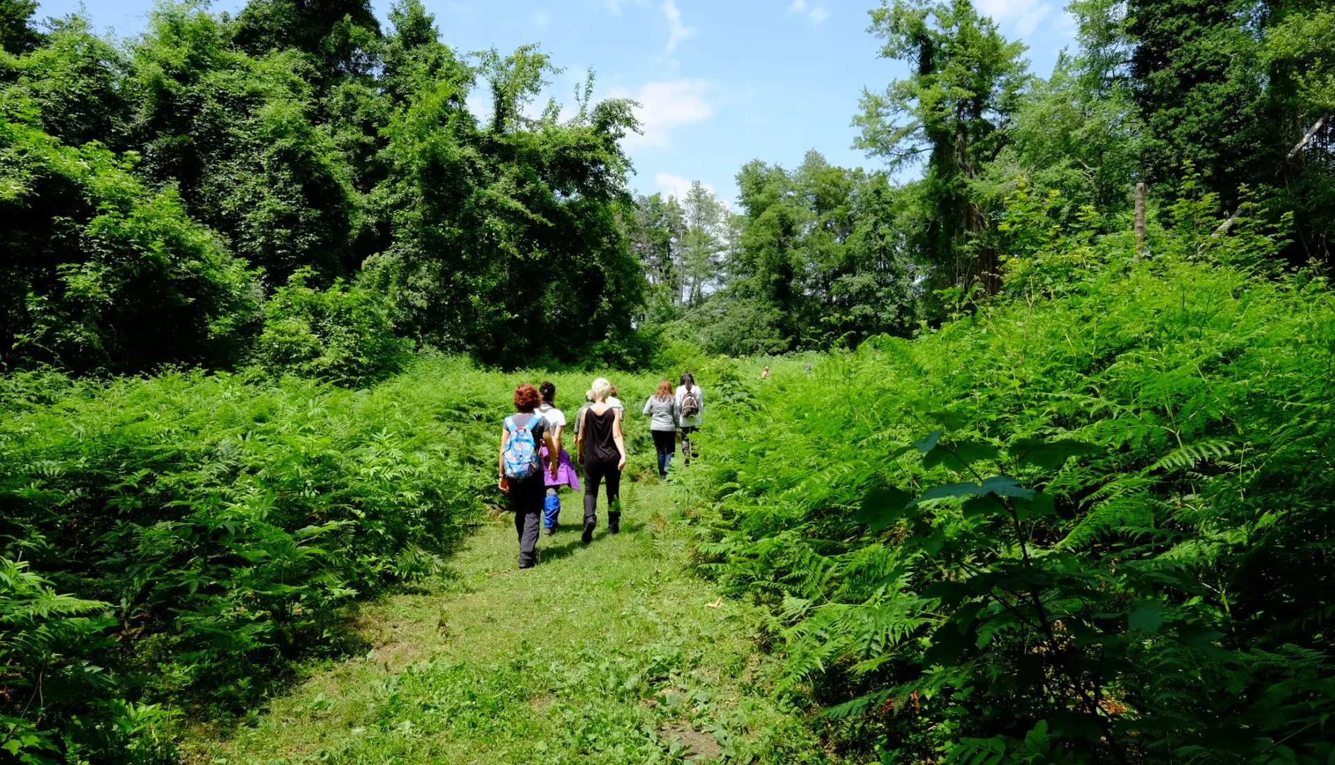 İğneada Çadır Kampı