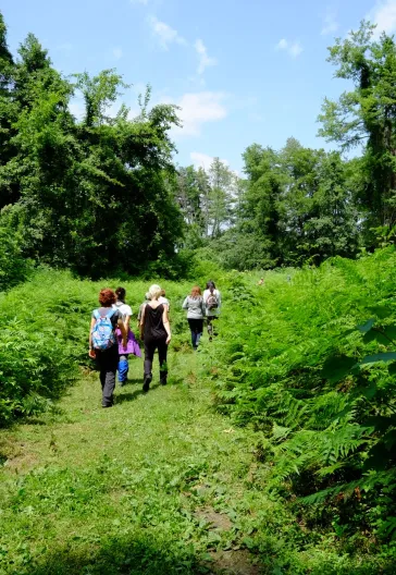 İğneada Çadır Kampı