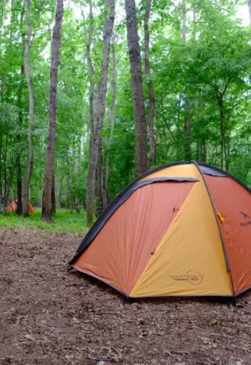 İğneada Çadır Kampı