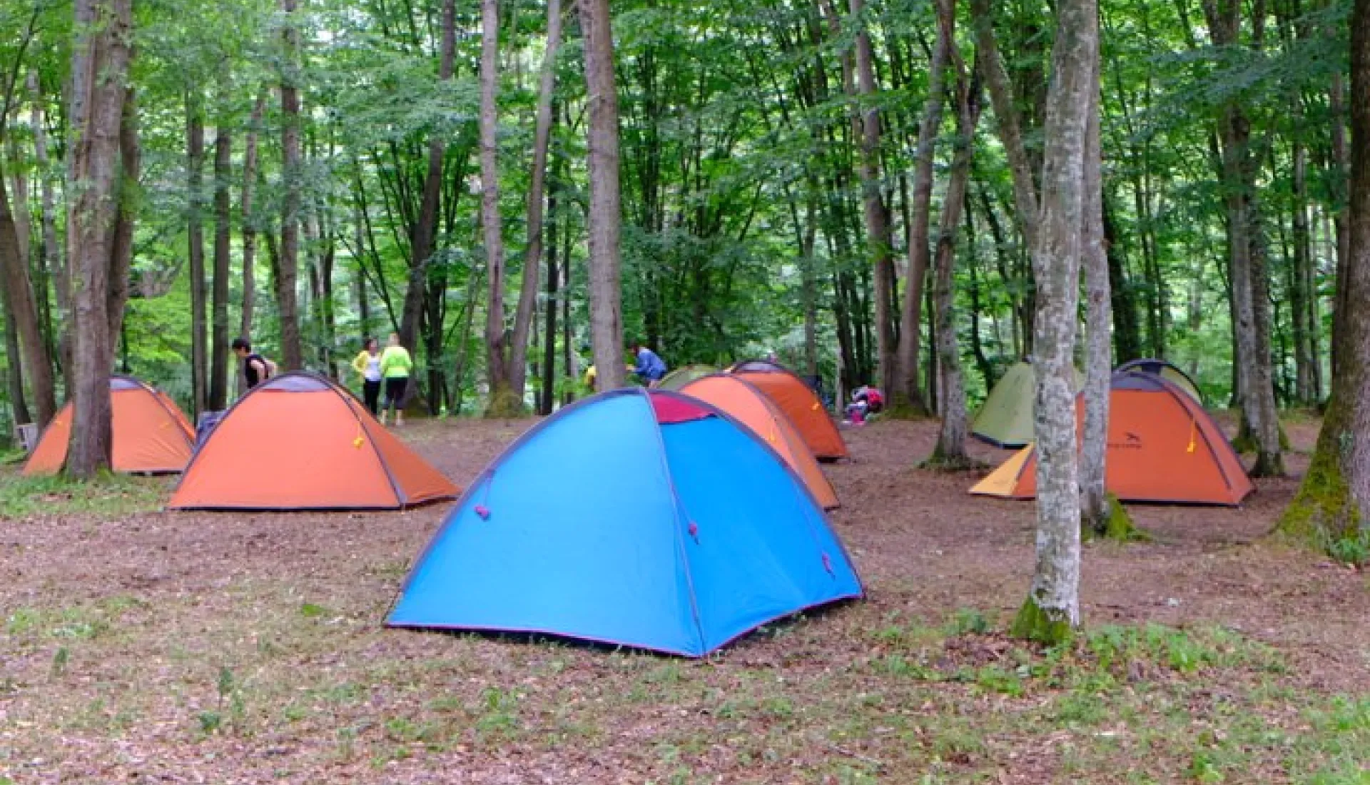 İğneada Çadır Kampı