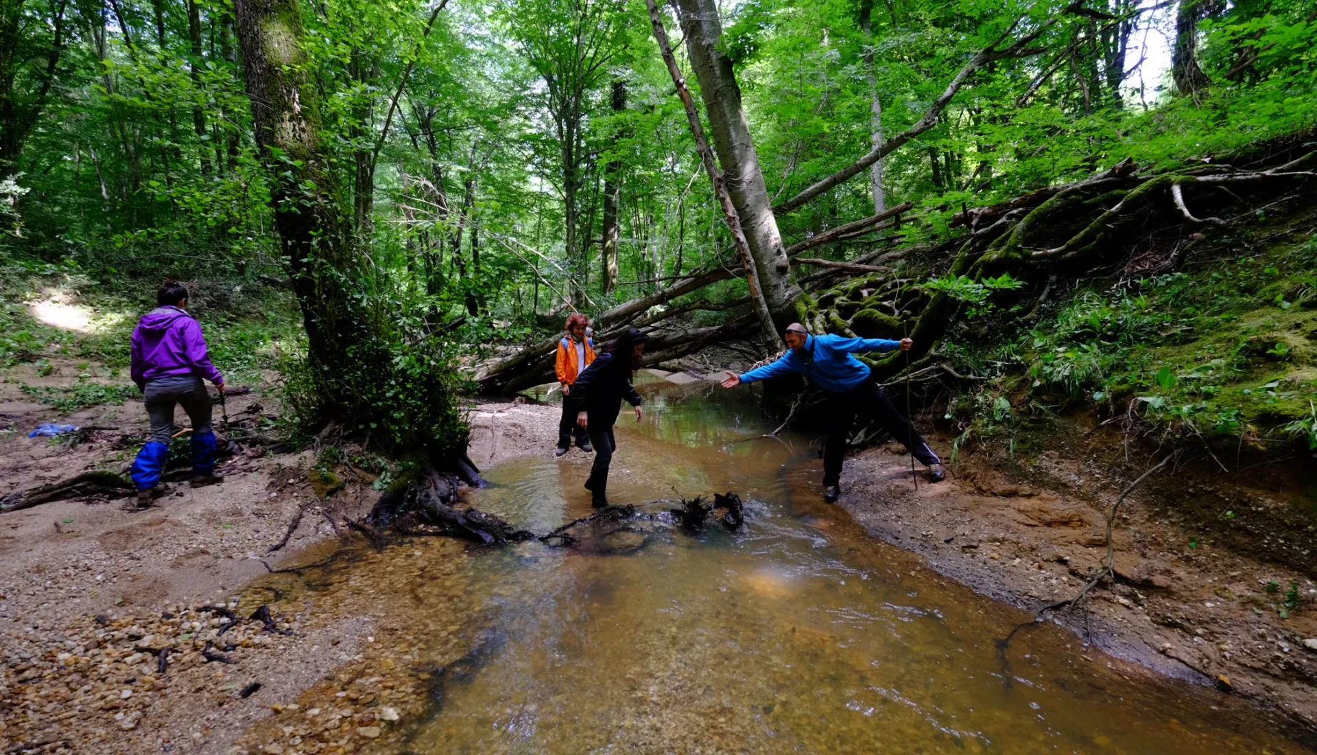 İğneada Çadır Kampı