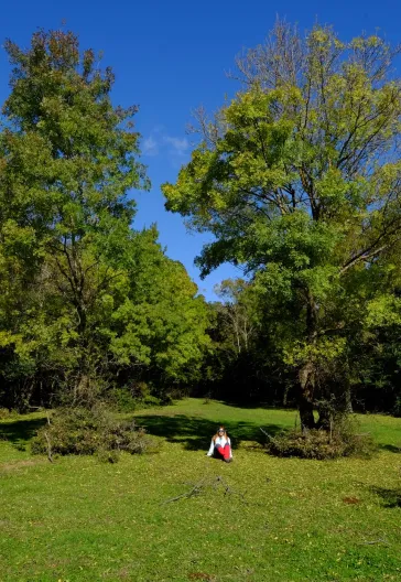 İğneada Çadır Kampı