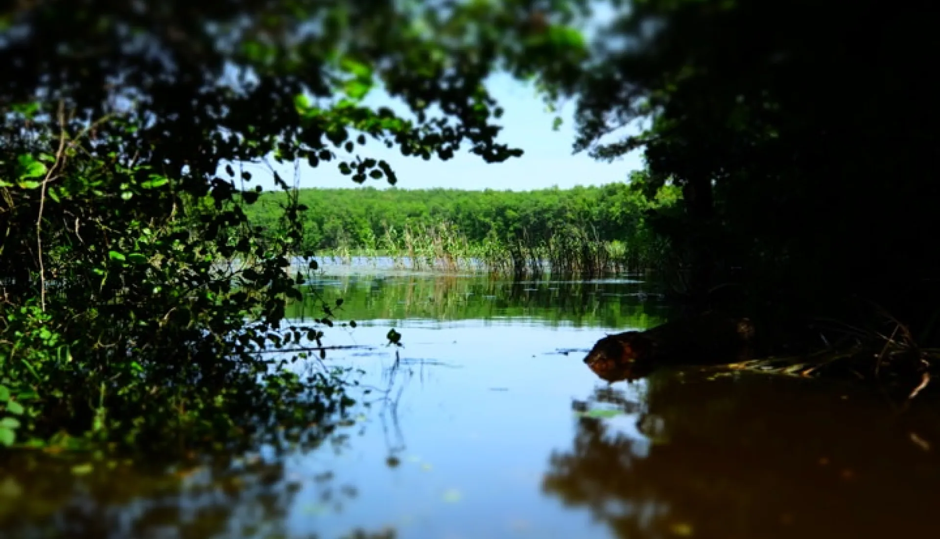 İğneada Çadır Kampı