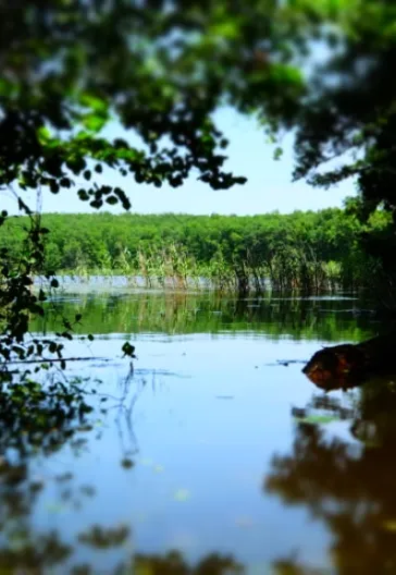 İğneada Çadır Kampı