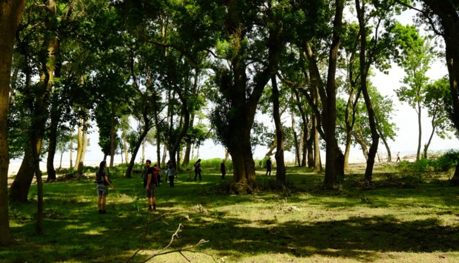 İğneada Çadır Kampı