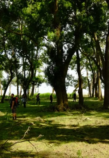 İğneada Çadır Kampı