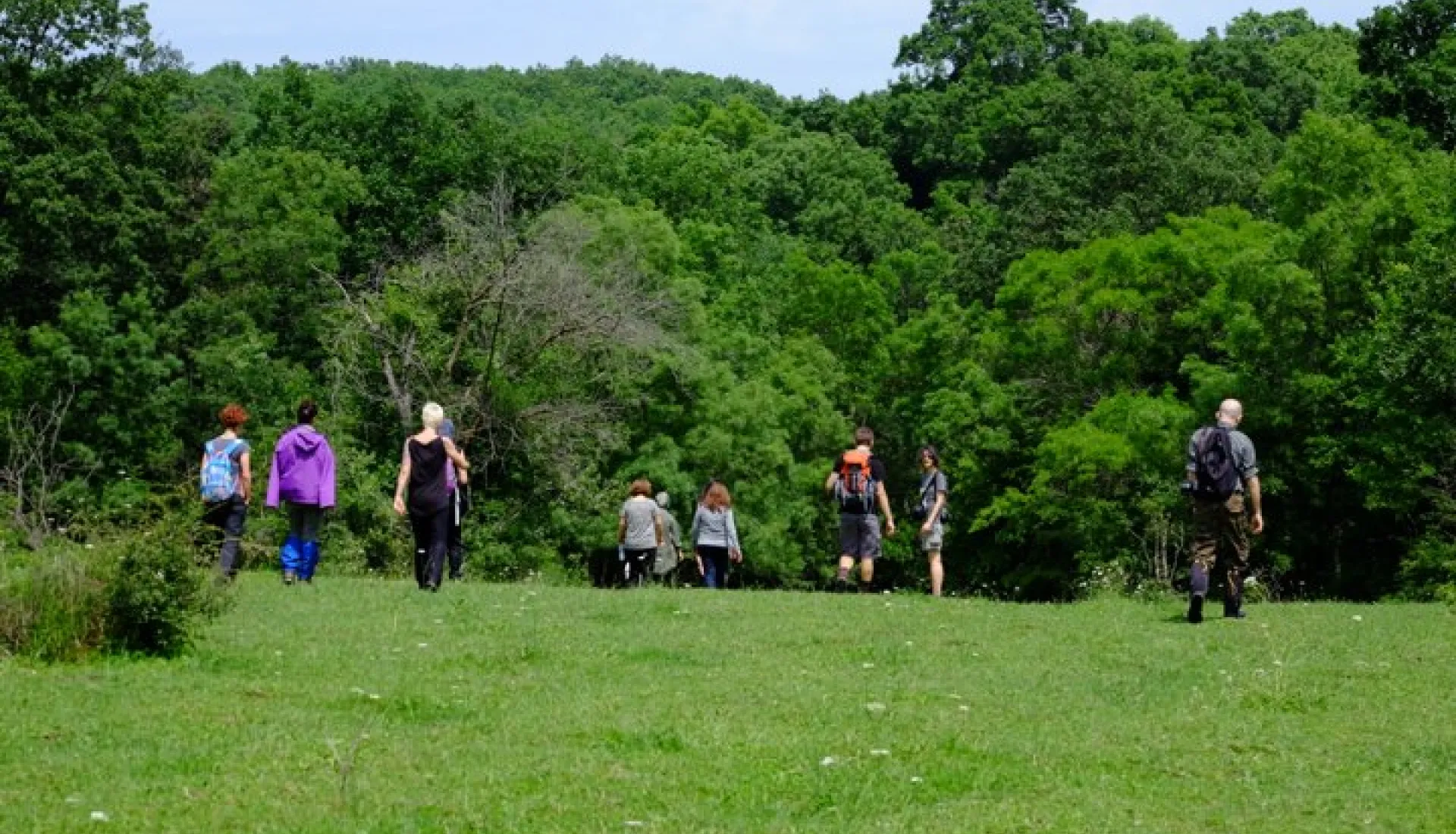 İğneada Çadır Kampı