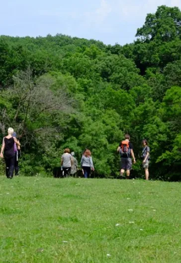 İğneada Çadır Kampı