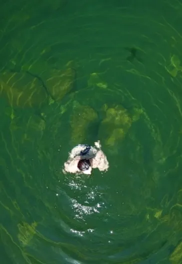 Laz Alpleri (Her Şey Dahil)