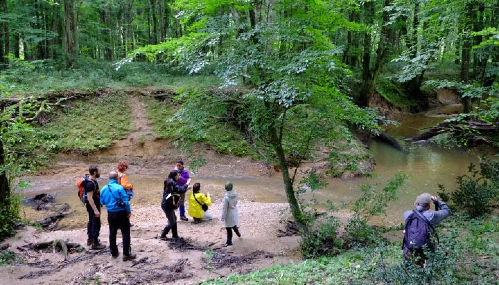 İğneada Çadır Kampı