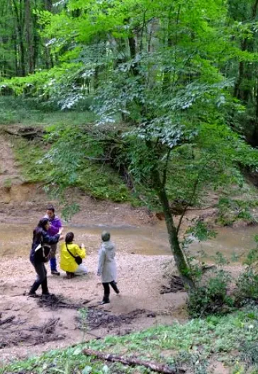 İğneada Çadır Kampı