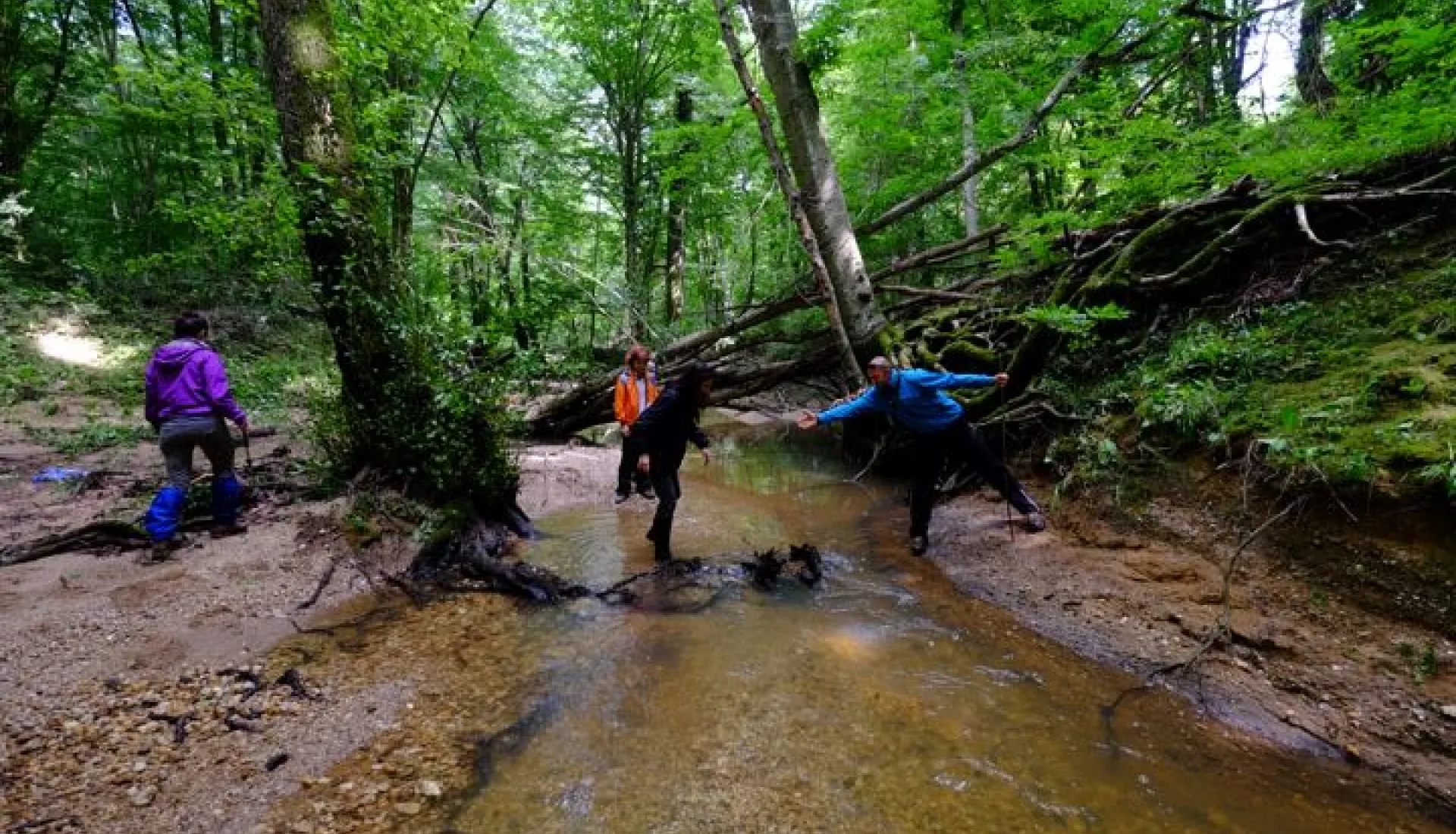İğneada Çadır Kampı