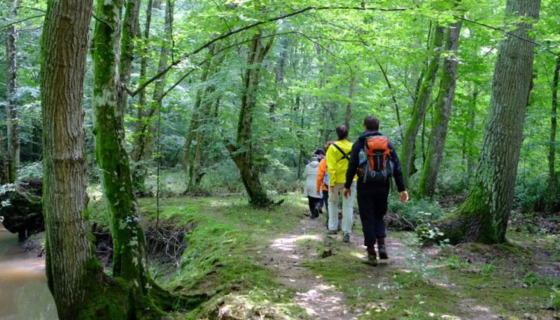 İğneada Çadır Kampı