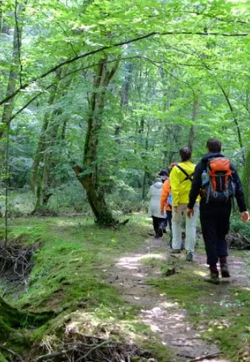 İğneada Çadır Kampı