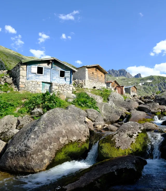 Laz Alpleri (Her Şey Dahil)