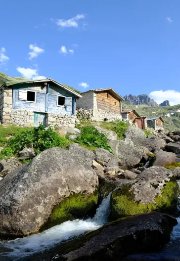 Laz Alpleri (Her Şey Dahil)