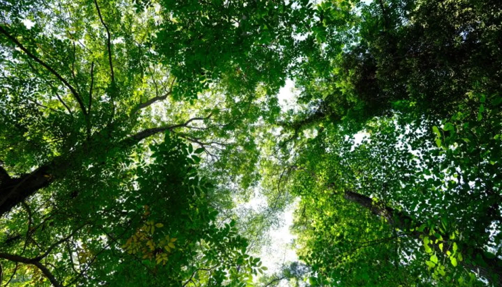 İğneada Çadır Kampı