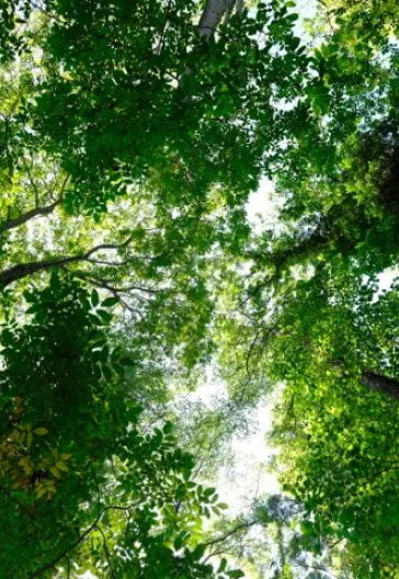 İğneada Çadır Kampı