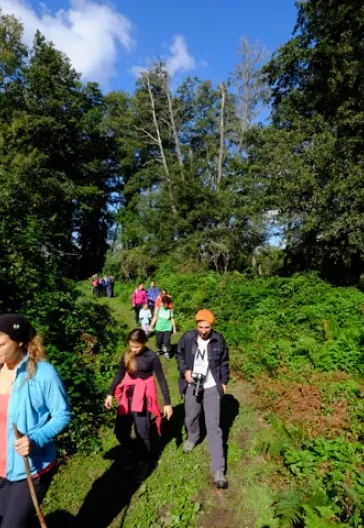 İğneada Çadır Kampı