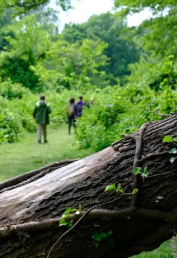 İğneada Çadır Kampı