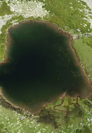 Laz Alpleri (Her Şey Dahil)